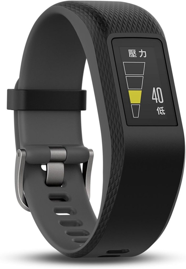 Garmin v&iacute;vosport, Fitness/Activity Tracker with GPS and Heart Rate Monitoring, Slate, Large