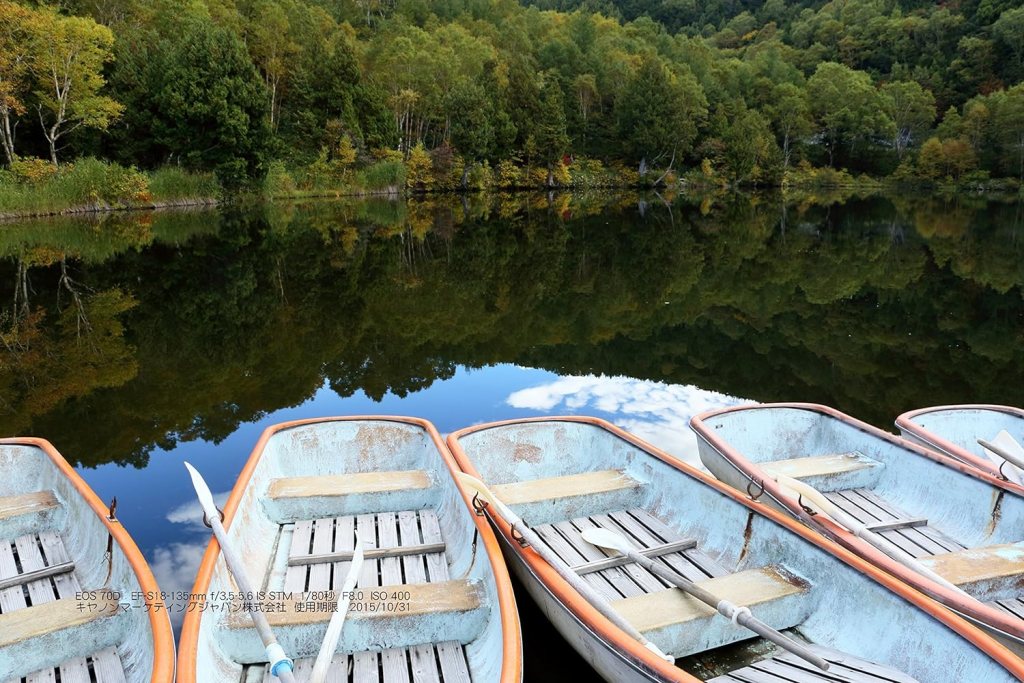 Canon EOS 70D with 18-55mm STM and 55-250mm STM Lenses - International Version Canon EOS 70D with 18-55mm STM and 55-250mm STM Lenses - International Version