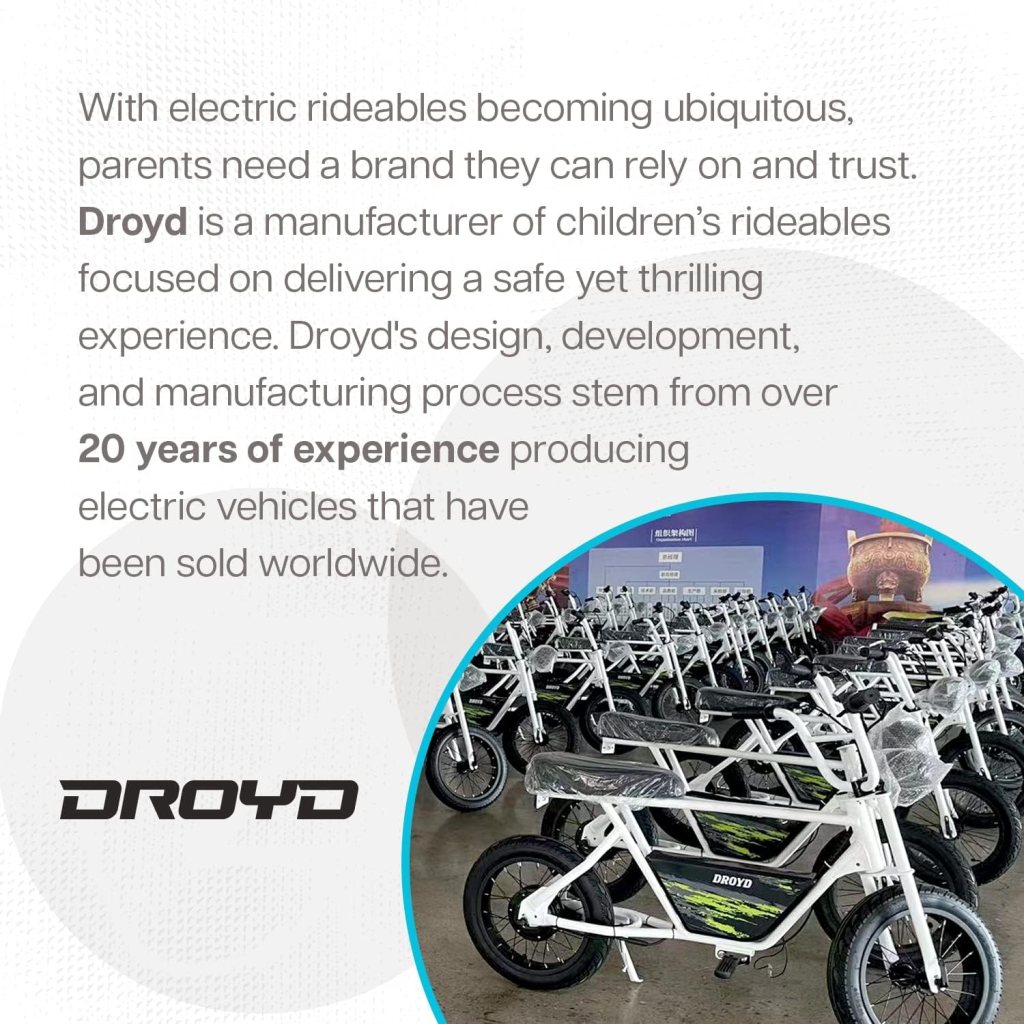 Droyd Weeler Electric Mini Bike - Electric Bike for Kids Ages 6  Up - 200W Electric Bike w 6.2-10MPH up to 8 Miles - E Bike for Kids up to 45 Mins Run Time w 14in Tire, 24V 8Ah Battery