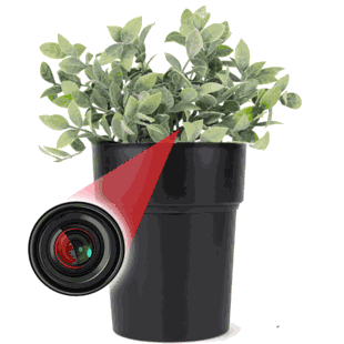 WiFi Hidden Camera w/ Audio Plant/Flower Pot Spy/Nanny Cam Review