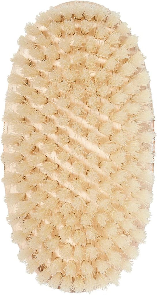 The Body Brush, Medium, Dry Brush for Body with Natural Bristles, Luxury Skincare By Dr. Barbara Sturm : Beauty  Personal Care